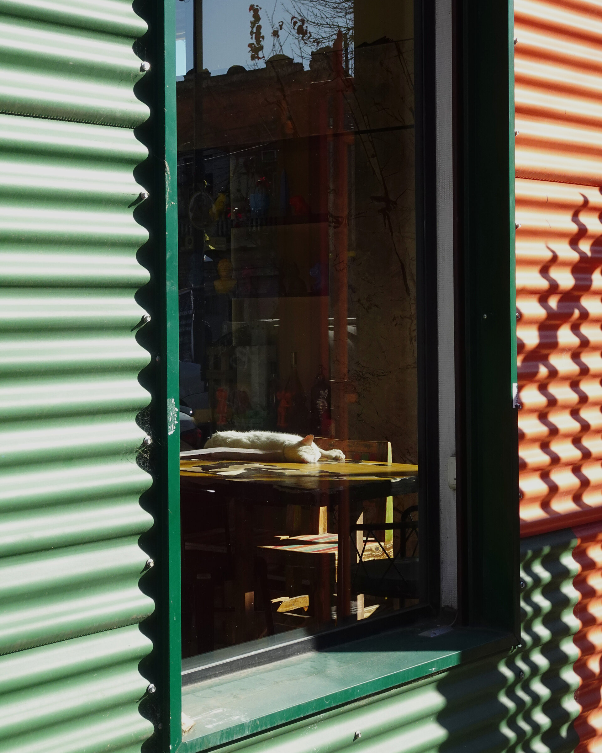 A white cat asleep on a table seen through a window between corrugated walls