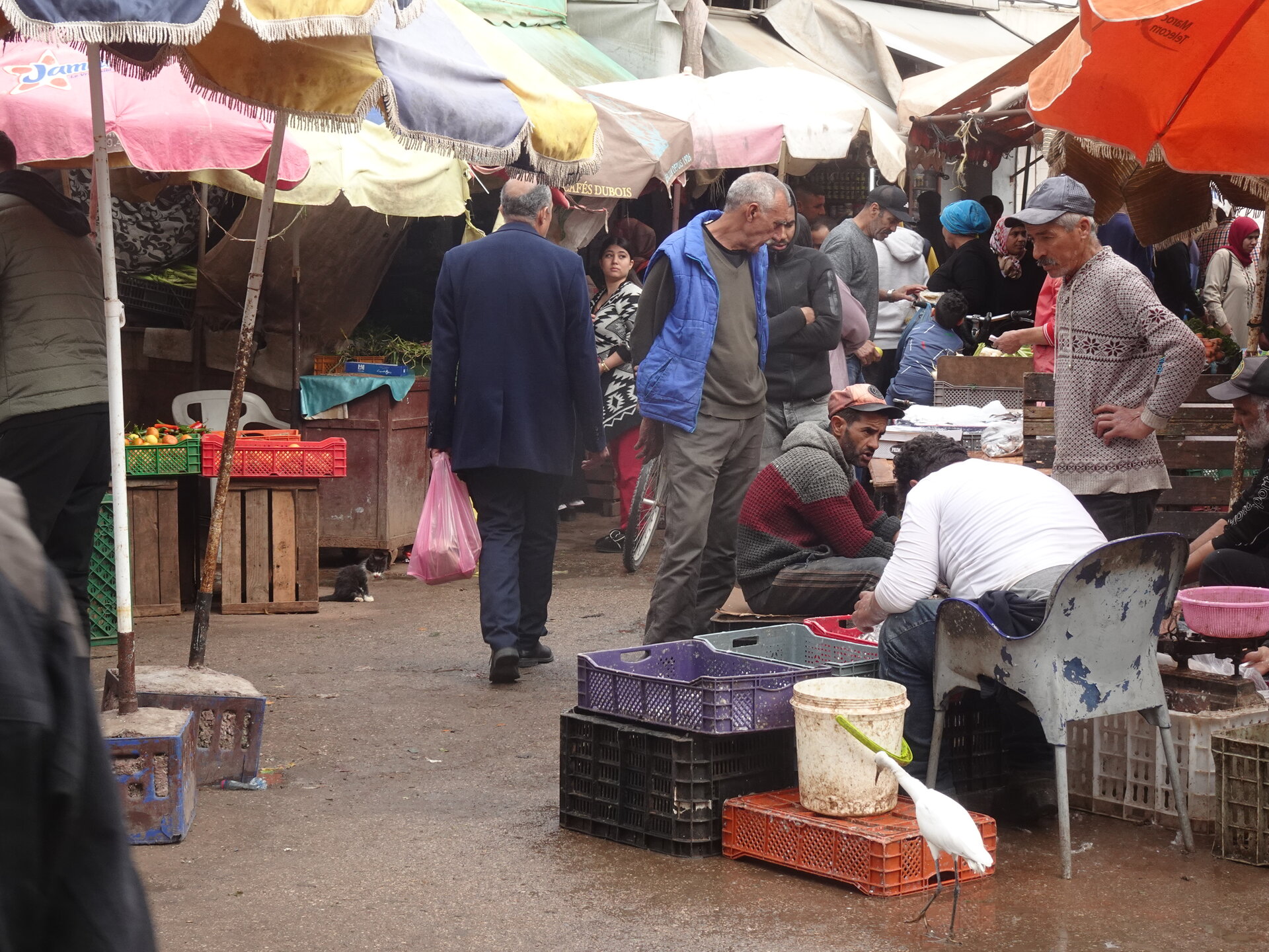 Busy outdoor market with colourful parasols and vendors selling produce