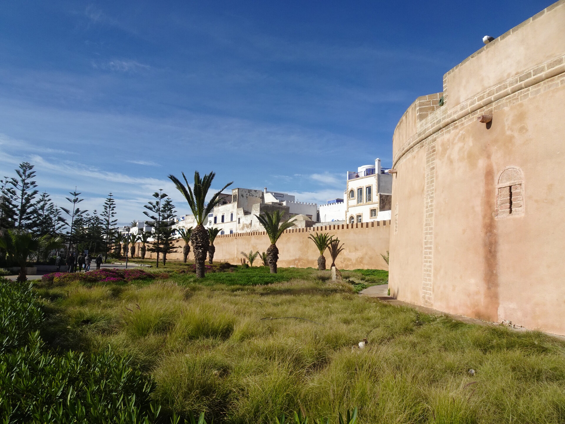 Medina walls with gardens