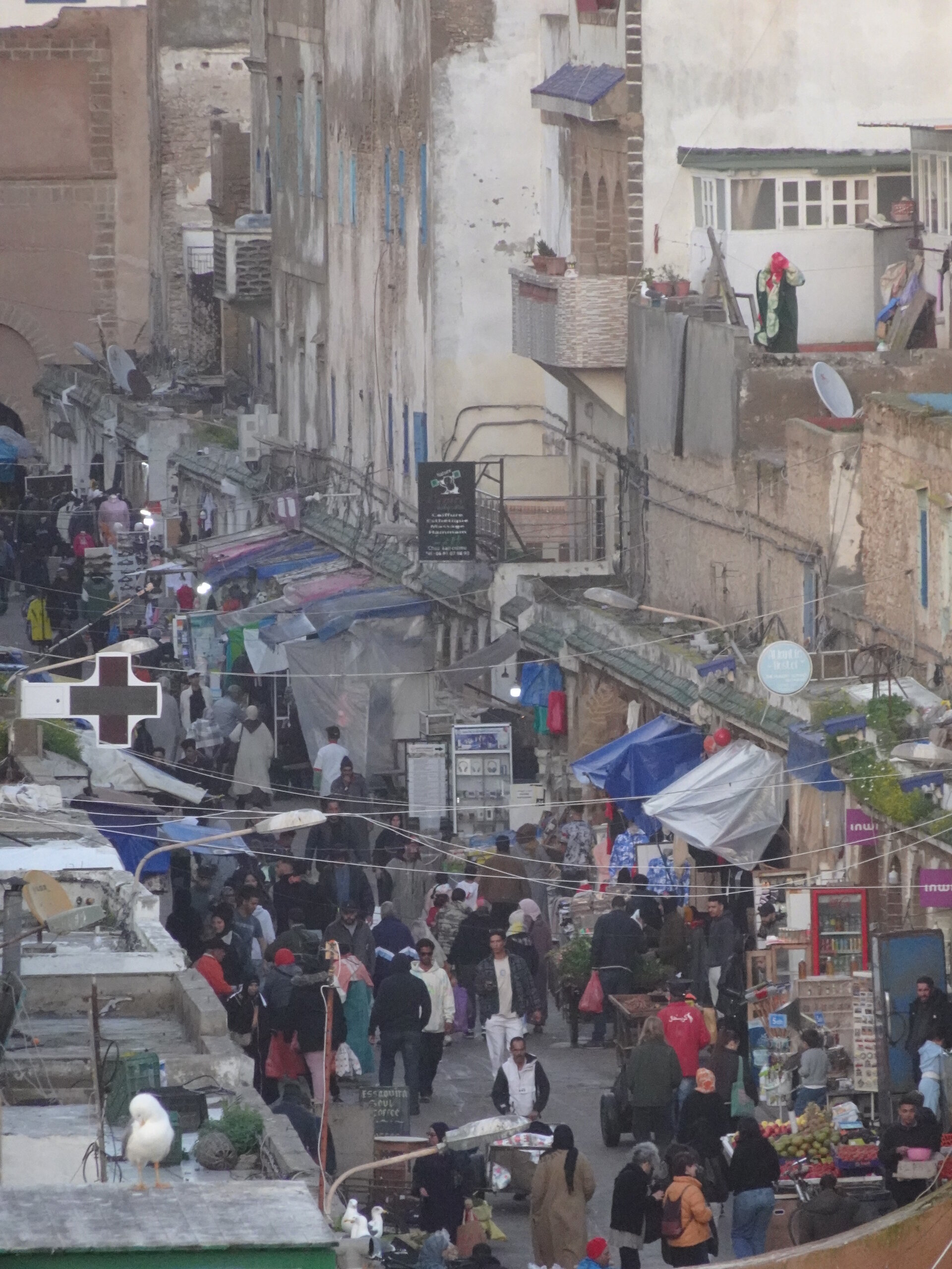 Busy shop lined street