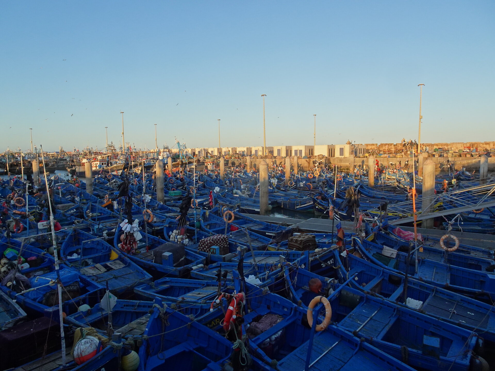 Hundreds of blue fishing boats packed into Essaouira harbour