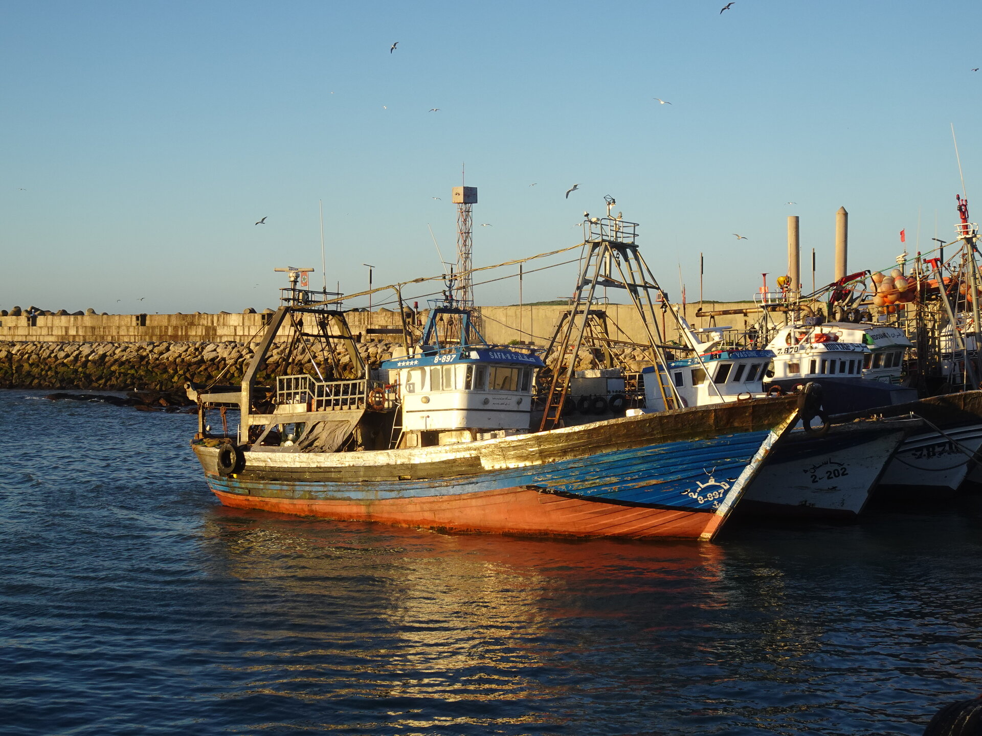 Colourful fishing trawler moored in the harbour at golden hour