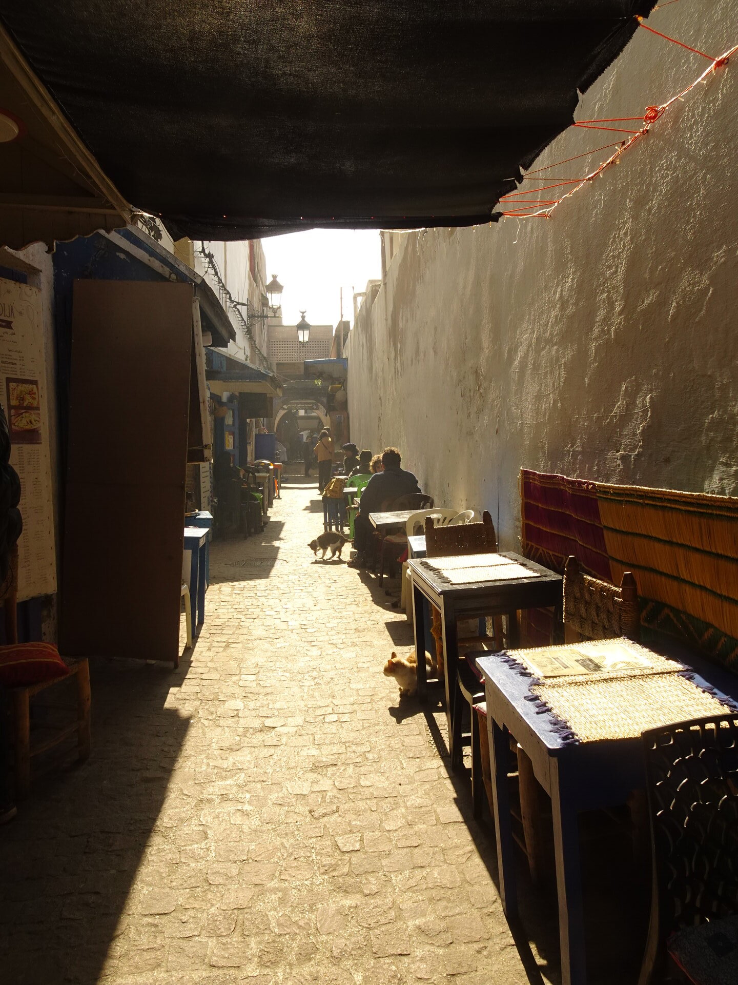 Sunlit cobblestone alley with a cat lounging between cafe tables and carpet displays