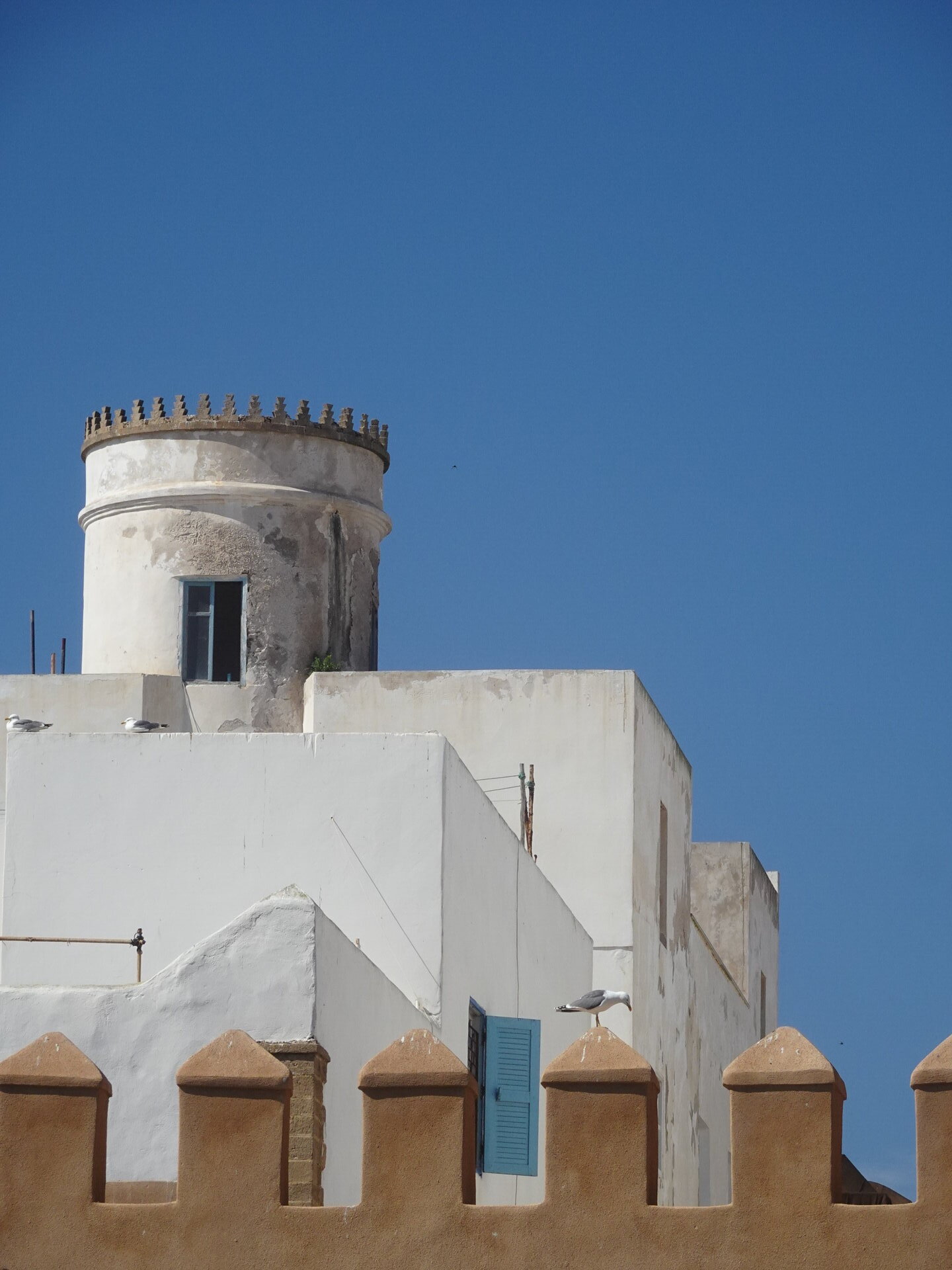 White tower with crenellations rising above medina rooftops and fortress battlements