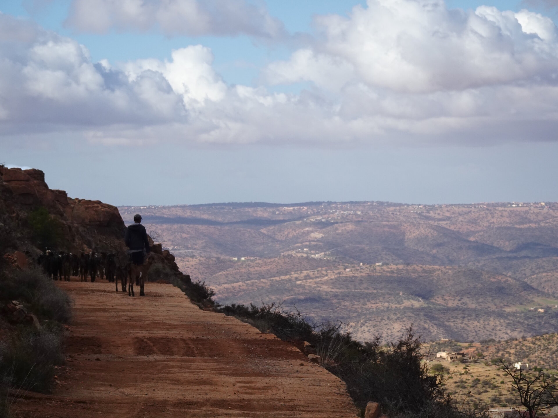 Goat herder and his flock on hill side