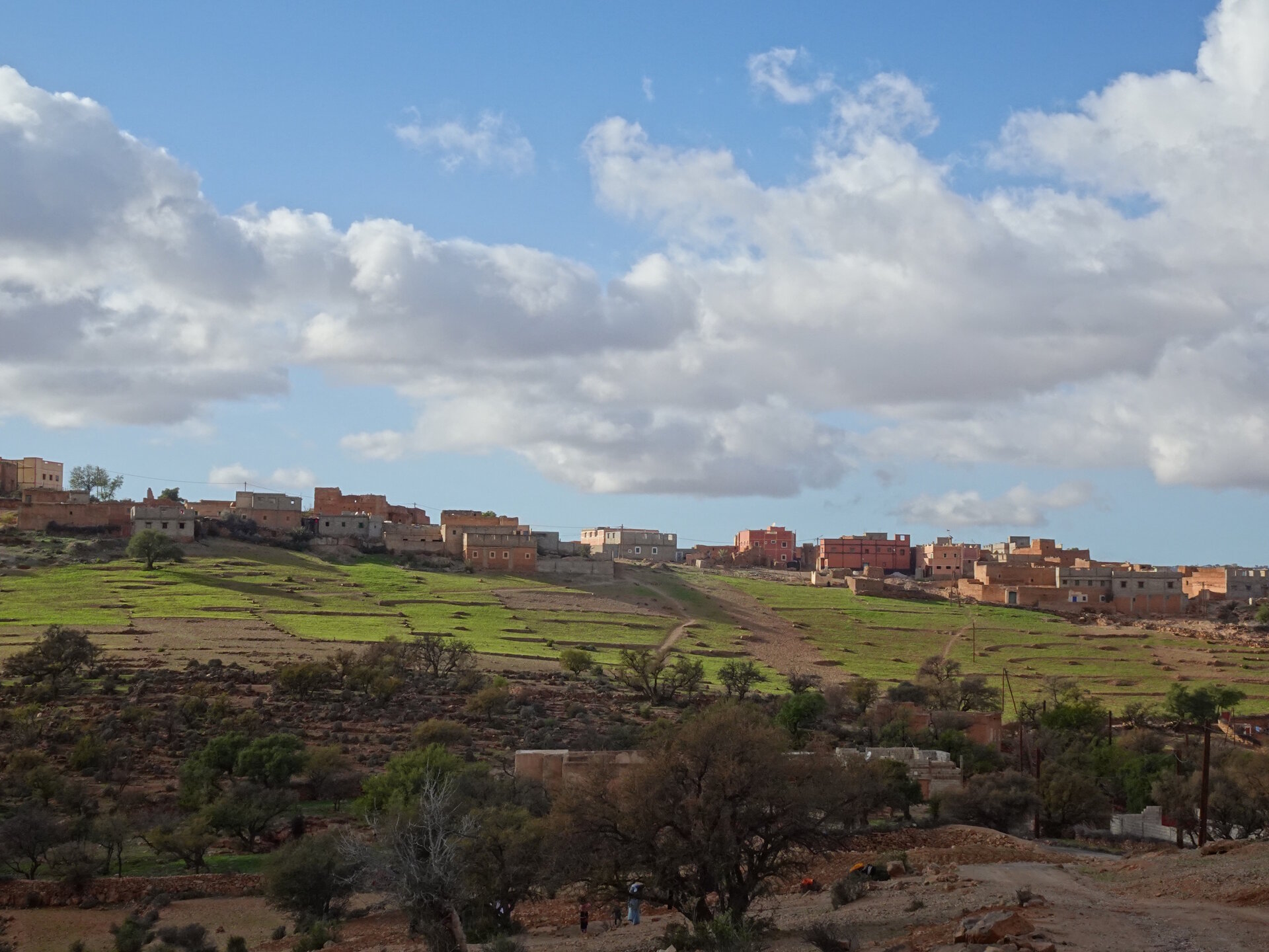 Town with green fields