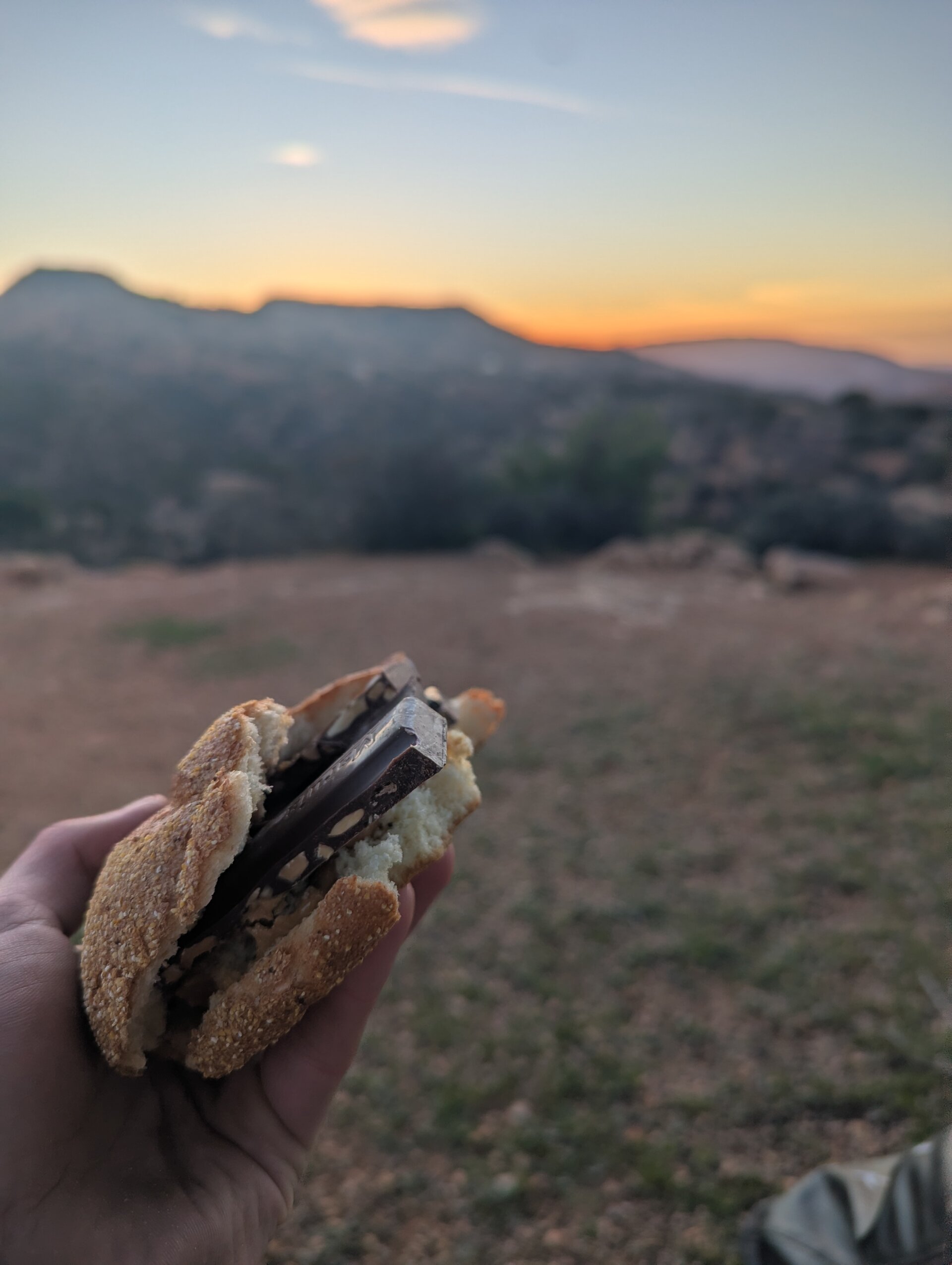 Chocolate and peanut butter sandwich