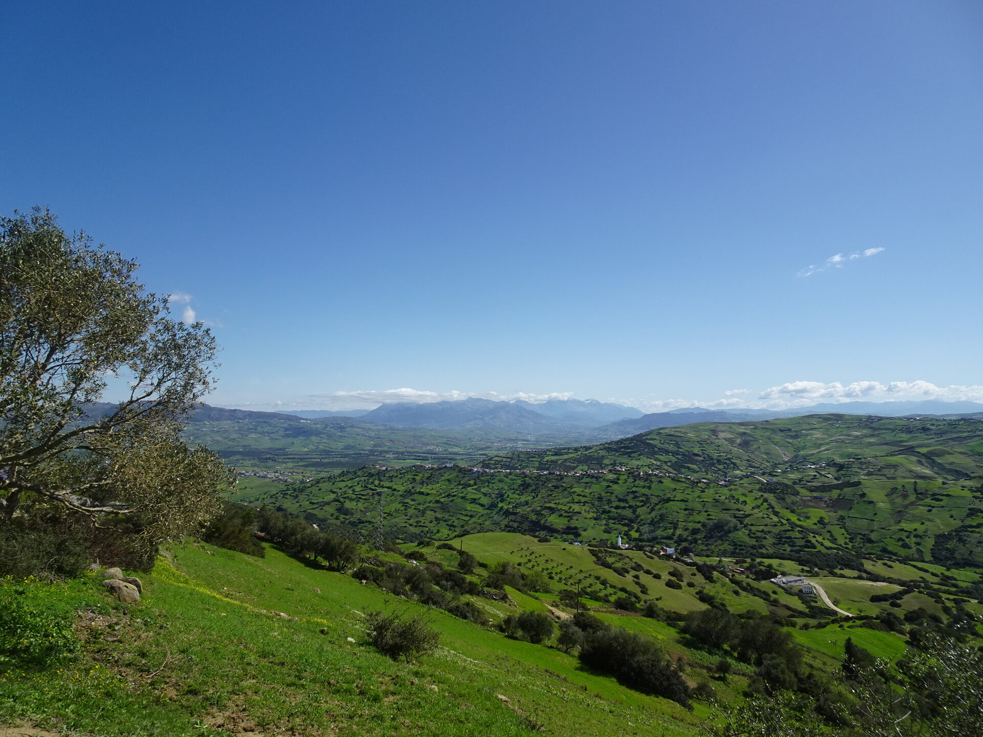 Panoramic view across rolling green hills with distant mountains